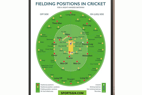 Cricket-Fielding-Positions-Explanations